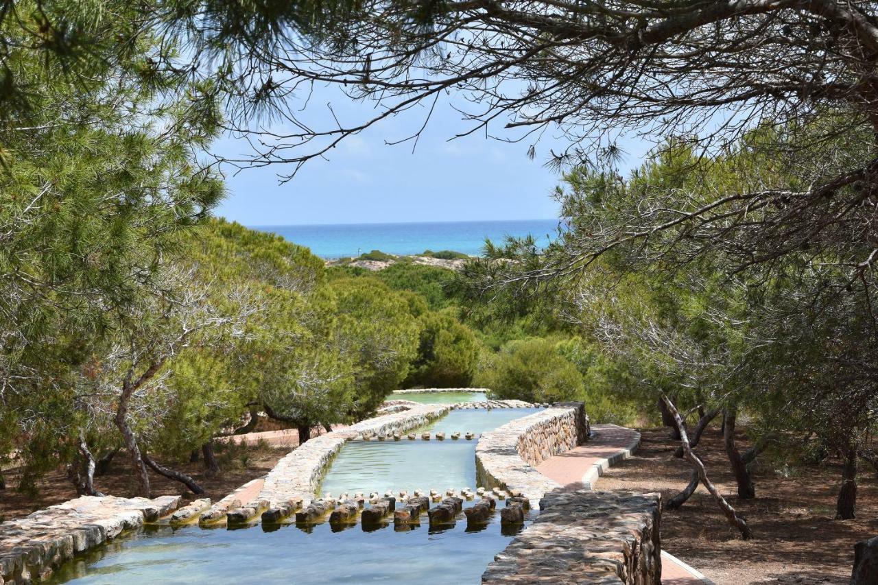 Apartment Vinamar III - Sunny La Mata La Mata  Kültér fotó